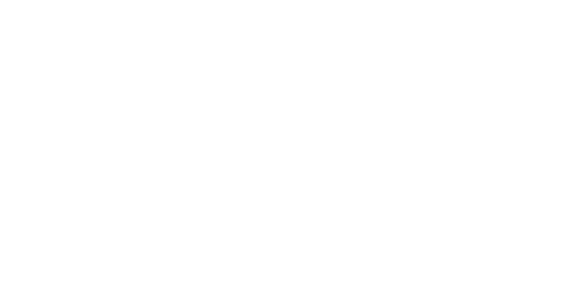 Navigant_White@2x