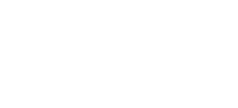 Mr Rooter