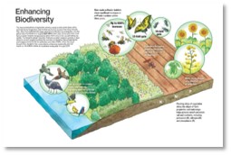 June Ag Blog 1.svg