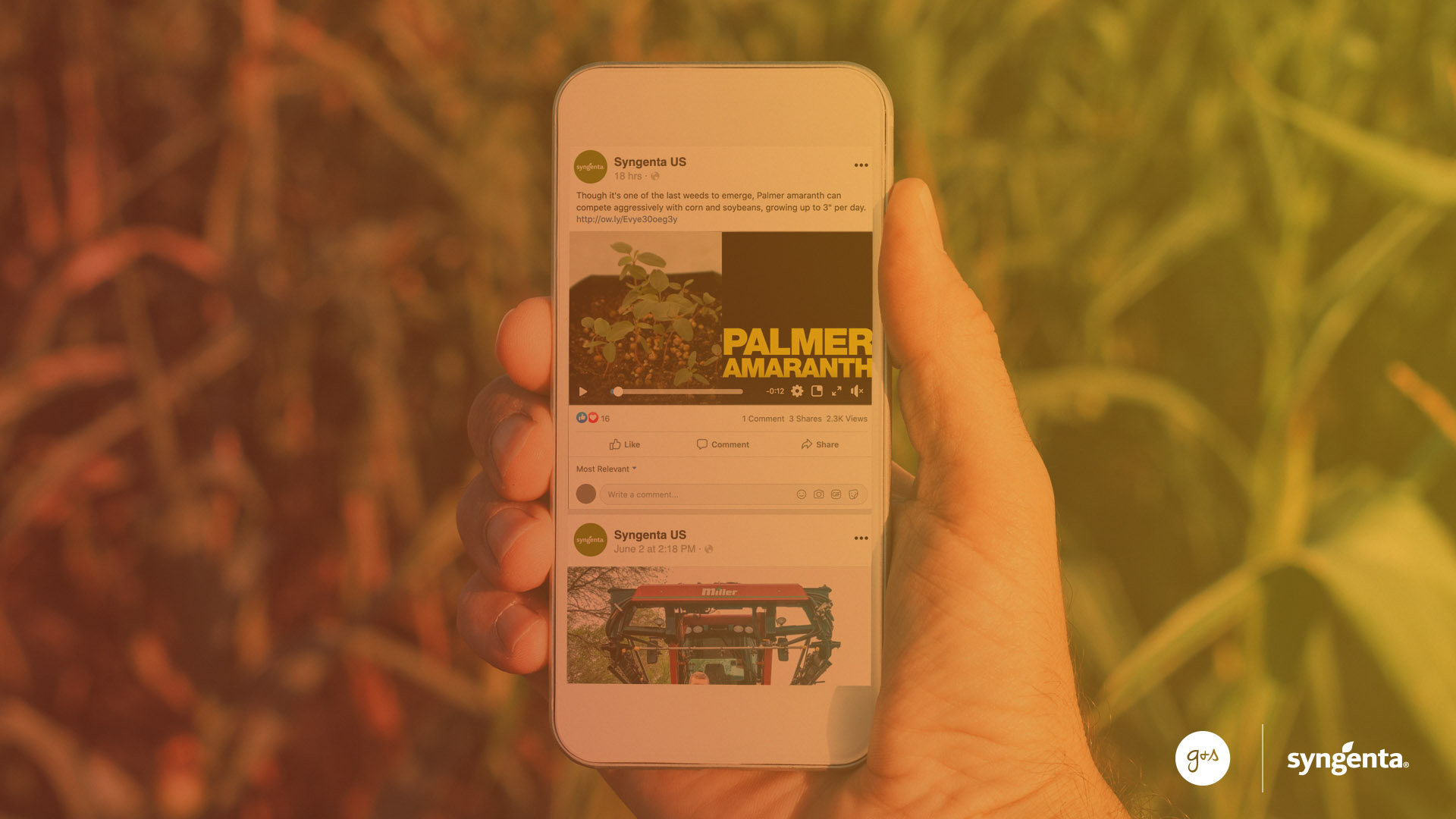 Holding a smartphone in a field of crops