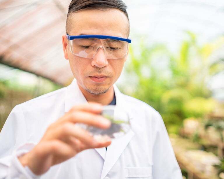  Agribusiness 