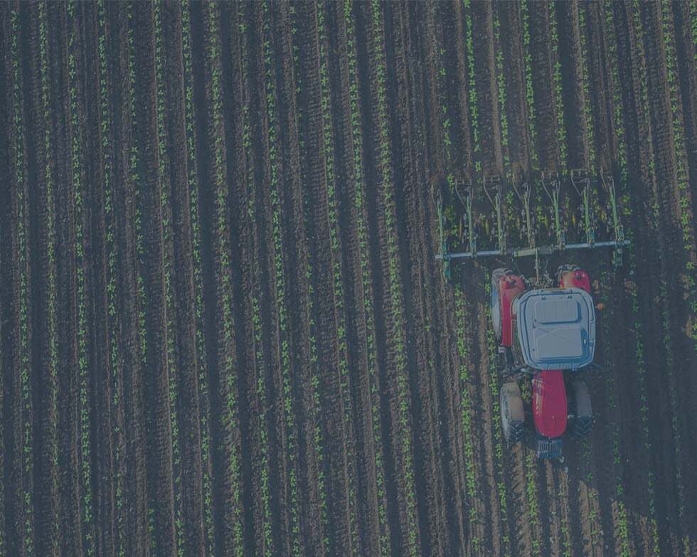  Syngenta 